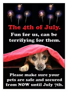 1512839_658572600884214_481099827646853424_n (1)