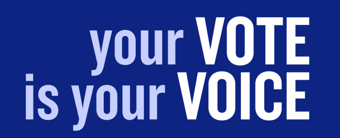 your vote is your voice