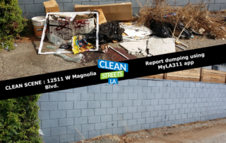 clearing dumping at 12511 W. Magnolia