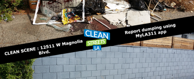 clearing dumping at 12511 W. Magnolia