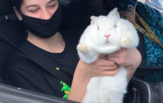 Bunny Bella