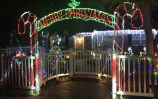 Holiday lights