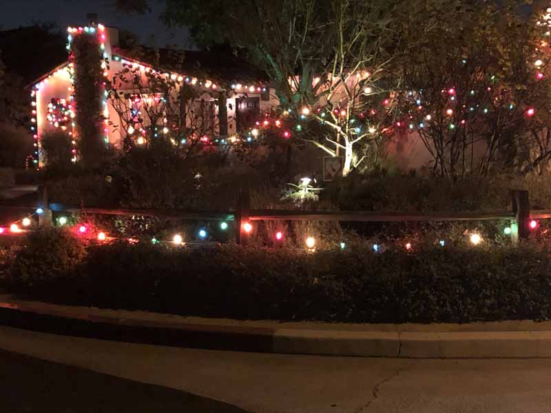 Holiday lights