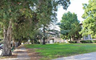 North Hollywood High School trees