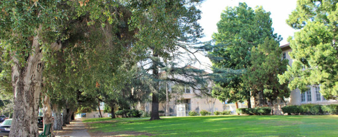 North Hollywood High School trees