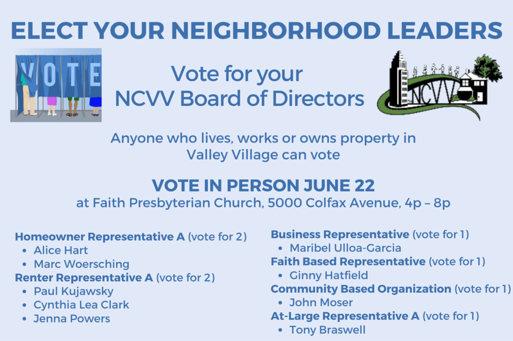 Elect your neighborhood Council leaders