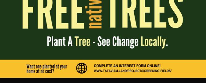 free native trees