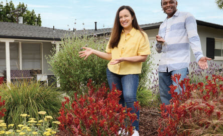 Landscape transformation