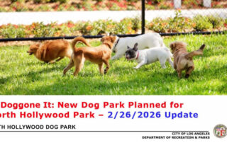 Dog Park News