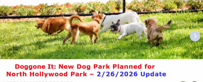 Dog Park News