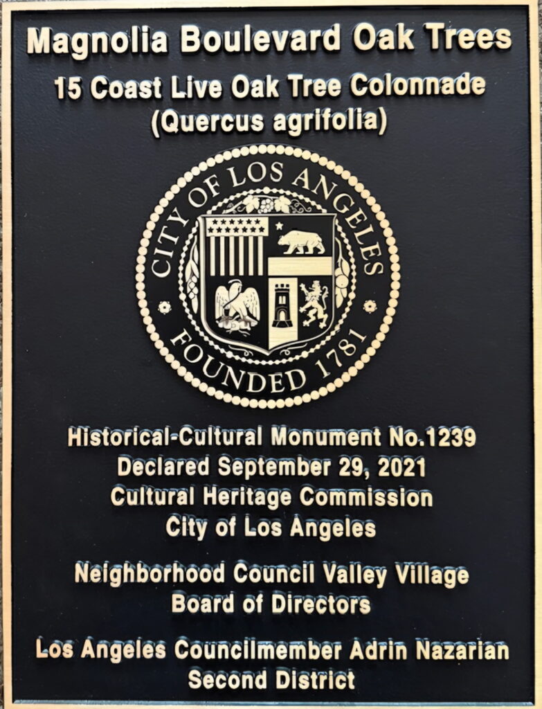 Magnolia Blvd Oak Trees Historic Cultural Monument